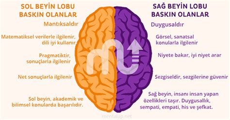 sağ beyni baskın olan insanların özellikleri